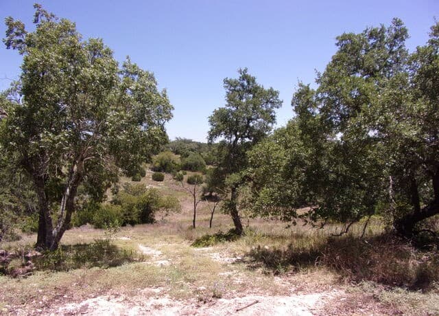 TBD E Twisted Oak Trail, Blanco, TX 78606 — photo 3