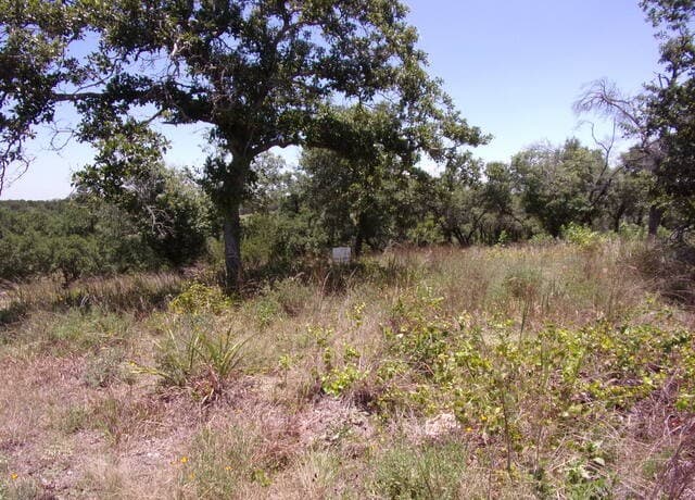TBD E Twisted Oak Trail, Blanco, TX 78606 — photo 4