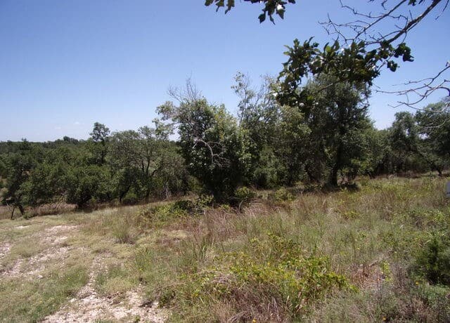 TBD E Twisted Oak Trail, Blanco, TX 78606 — photo 6