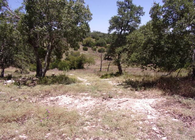 TBD E Twisted Oak Trail, Blanco, TX 78606 — photo 7