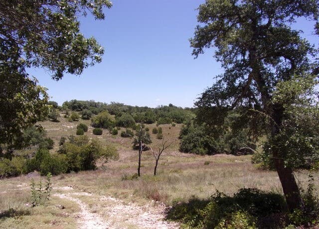 TBD E Twisted Oak Trail, Blanco, TX 78606 — photo 8