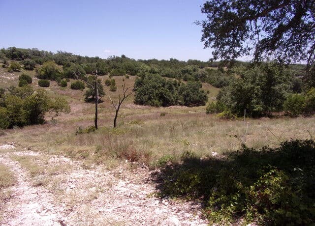 TBD E Twisted Oak Trail, Blanco, TX 78606 — photo 9