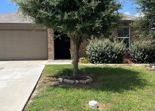 2118 Silver Maple