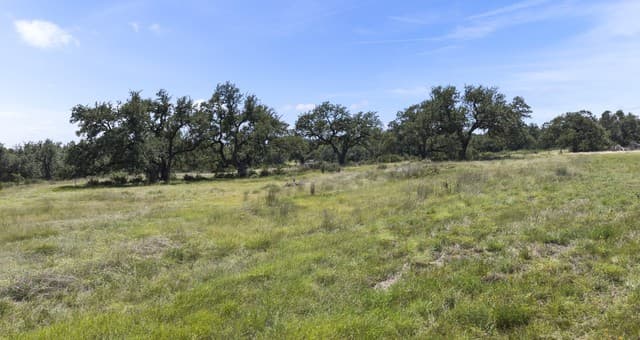 227  Mitchell Dr, Spring Branch, TX 78070 — photo 10