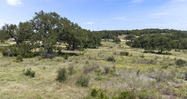 227  Mitchell Dr, Spring Branch, TX 78070 — photo 11
