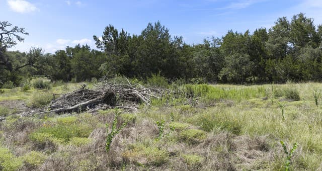 227  Mitchell Dr, Spring Branch, TX 78070 — photo 12