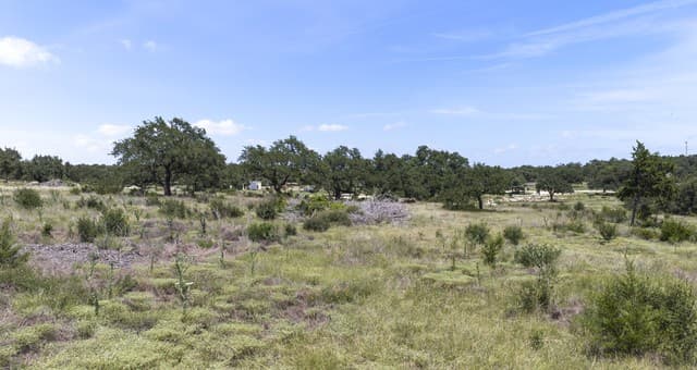 227  Mitchell Dr, Spring Branch, TX 78070 — photo 13