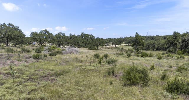 227  Mitchell Dr, Spring Branch, TX 78070 — photo 14
