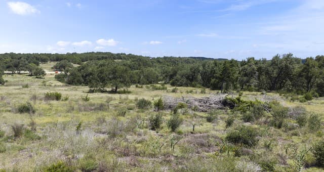 227  Mitchell Dr, Spring Branch, TX 78070 — photo 16