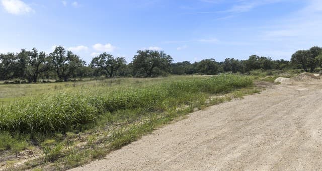 227  Mitchell Dr, Spring Branch, TX 78070 — photo 4