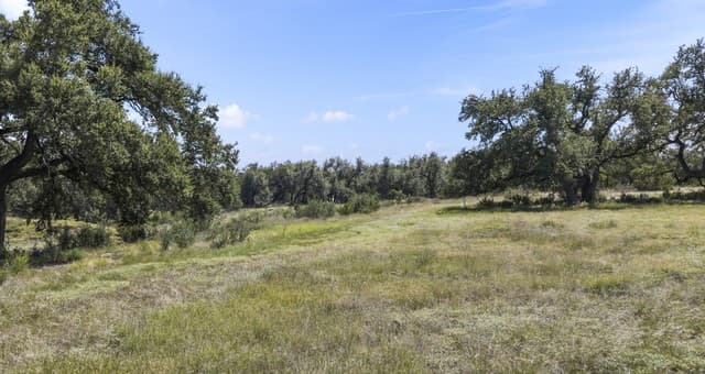 227  Mitchell Dr, Spring Branch, TX 78070 — photo 5