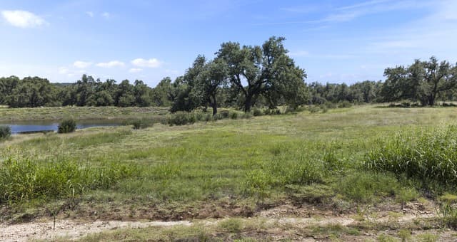 227  Mitchell Dr, Spring Branch, TX 78070 — photo 7