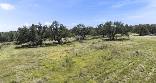 227  Mitchell Dr, Spring Branch, TX 78070 — photo 9