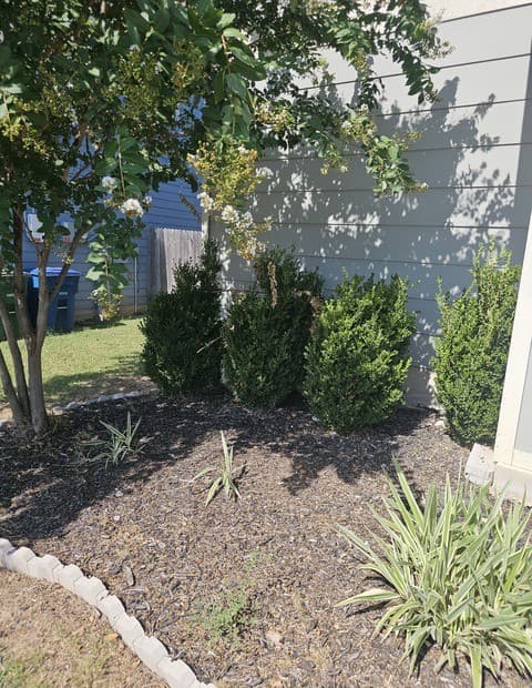 7643  Hercules Pt, San Antonio, TX 78252 — photo 2