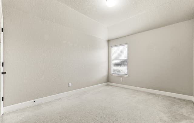 11507  Sneffels Mt, Helotes, TX 78023 — photo 24