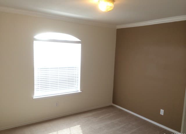 16246  Stallion Ranch, Selma, TX 78154 — photo 6