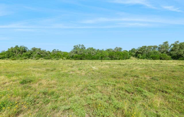 225  Doehne Oaks, New Braunfels, TX 78132 — photo 9