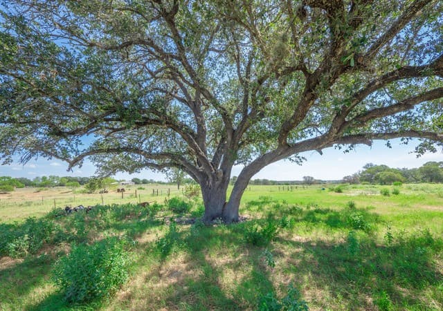2572  Mogford Rd, San Antonio, TX 78264 — photo 15