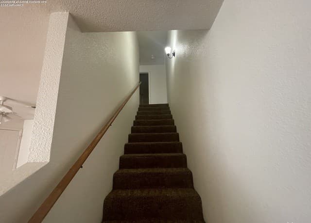 11247  Terra Loop Rd, San Antonio, TX 78233 — photo 7