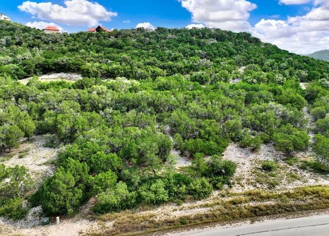 LOT 101  Pr 1712, Mico, TX 78056 — photo 15