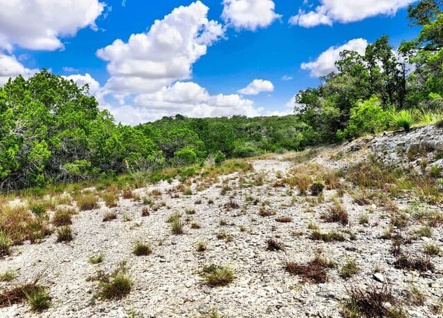 LOT 101  Pr 1712, Mico, TX 78056 — photo 17