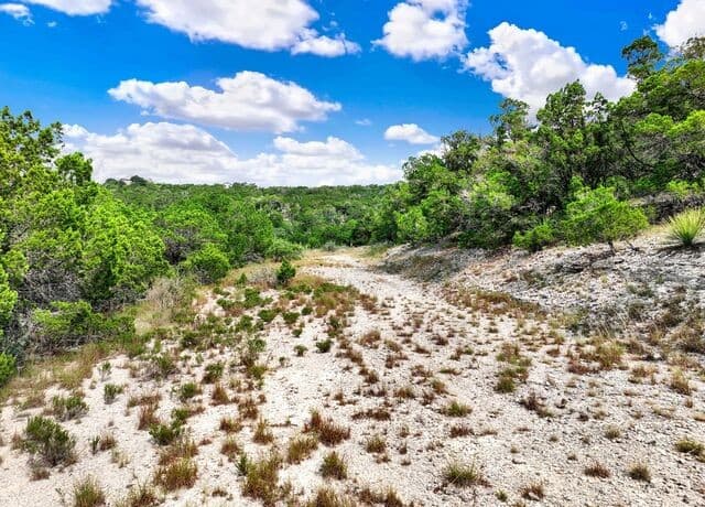 LOT 101  Pr 1712, Mico, TX 78056 — photo 18