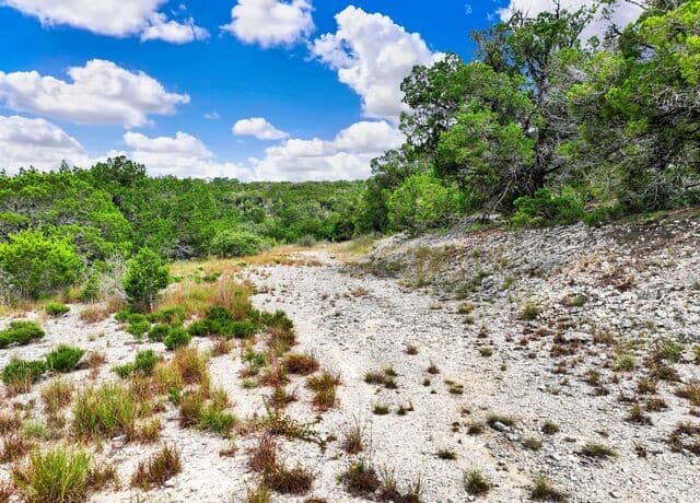 LOT 101  Pr 1712, Mico, TX 78056 — photo 19