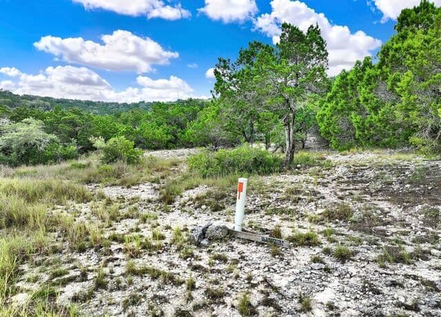 LOT 101  Pr 1712, Mico, TX 78056 — photo 4