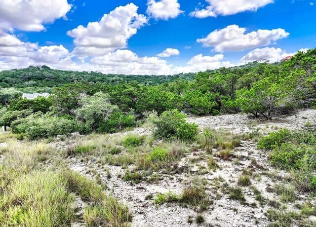 LOT 101  Pr 1712, Mico, TX 78056 — photo 6