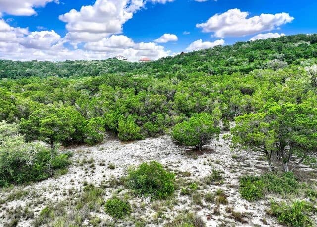 LOT 101  Pr 1712, Mico, TX 78056 — photo 7