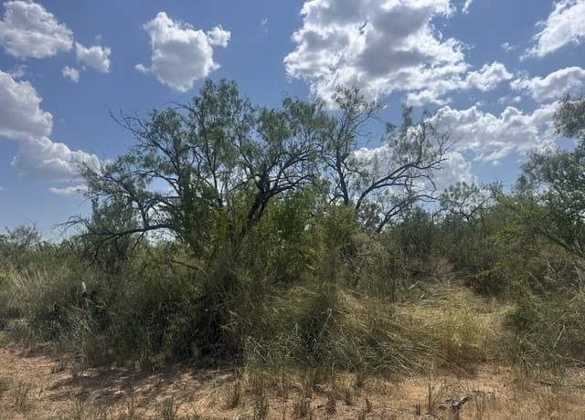 000  Ave. O, Christine, TX 78012 — photo 3
