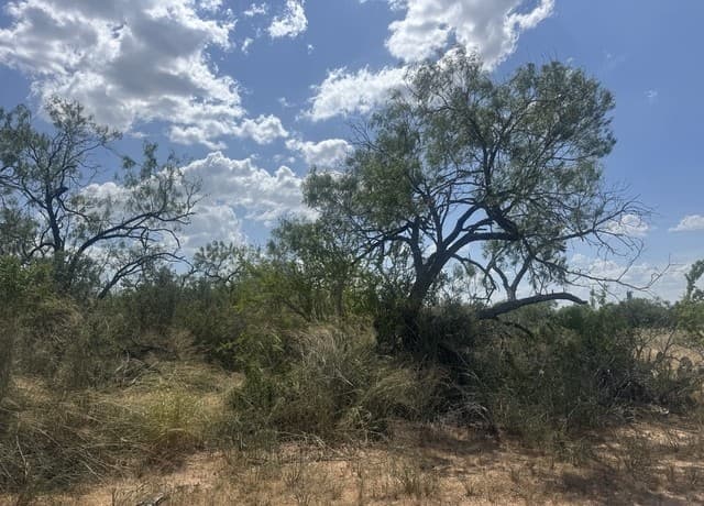 000  Ave. O, Christine, TX 78012 — photo 4