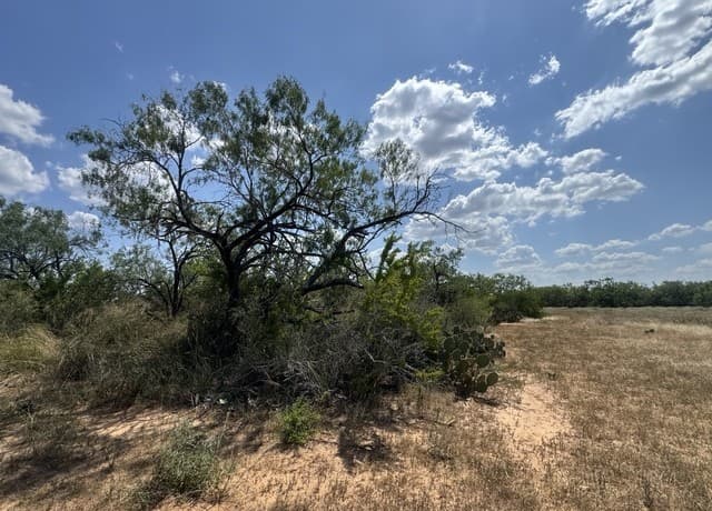 000  Ave. O, Christine, TX 78012 — photo 5