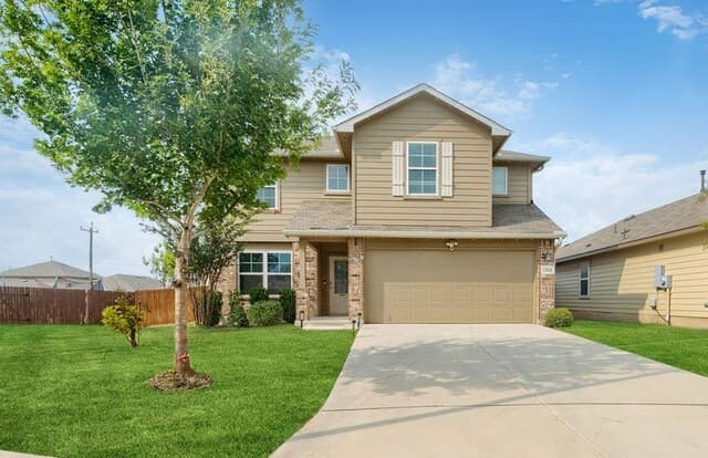 13110 Needle Grass