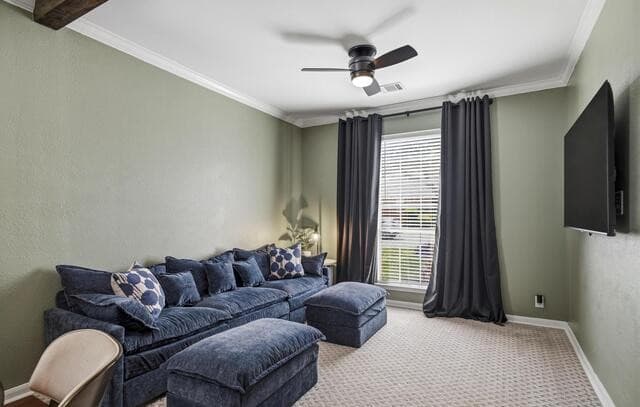 615  Hookberry Trail, San Antonio, TX 78256 — photo 5