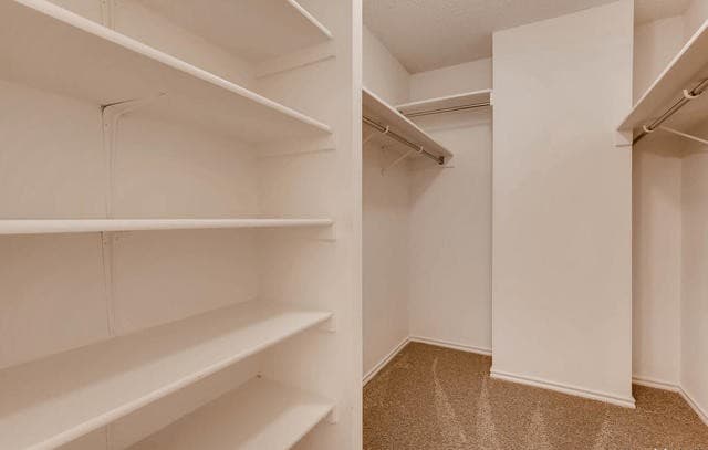 8507  Park Olympia, Universal City, TX 78148 — photo 22