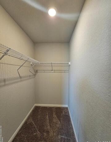12903  Irvin Path, San Antonio, TX 78254 — photo 13
