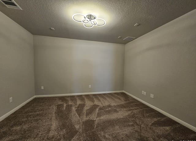 12903  Irvin Path, San Antonio, TX 78254 — photo 19