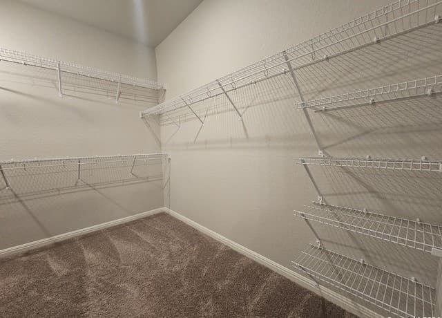 12903  Irvin Path, San Antonio, TX 78254 — photo 5
