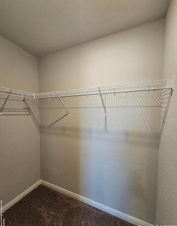 12903  Irvin Path, San Antonio, TX 78254 — photo 8