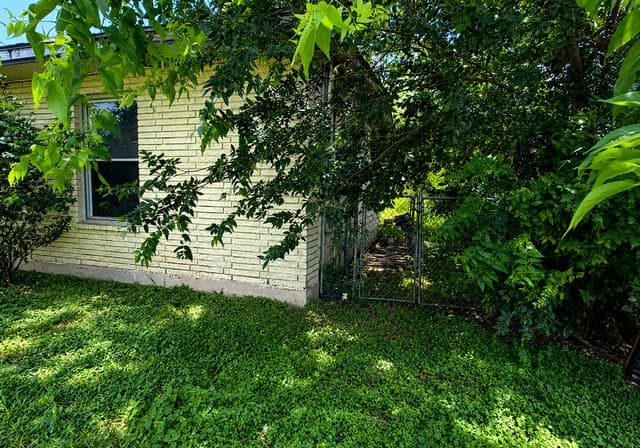 314  Springvale Dr, San Antonio, TX 78227 — photo 7