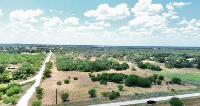 118  Pr Dax Ln, Pleasanton, TX 78064 — photo 10