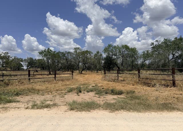 118  Pr Dax Ln, Pleasanton, TX 78064 — photo 14