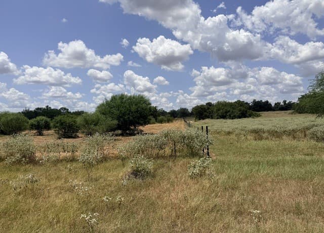 118  Pr Dax Ln, Pleasanton, TX 78064 — photo 18