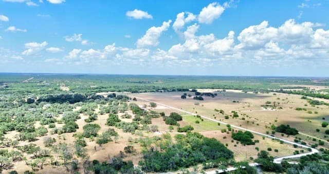 118  Pr Dax Ln, Pleasanton, TX 78064 — photo 9