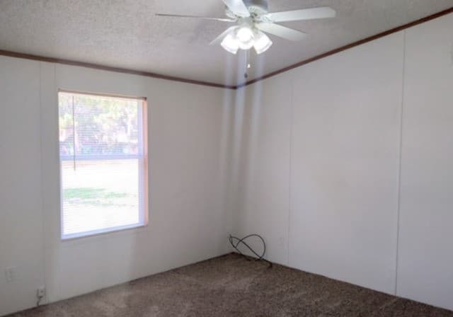 4518  Waterwood Pass, Elmendorf, TX 78112 — photo 7