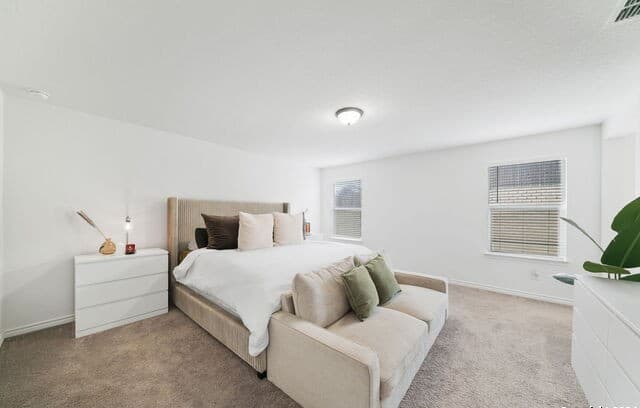 11133  Charismatic, San Antonio, TX 78245 — photo 21