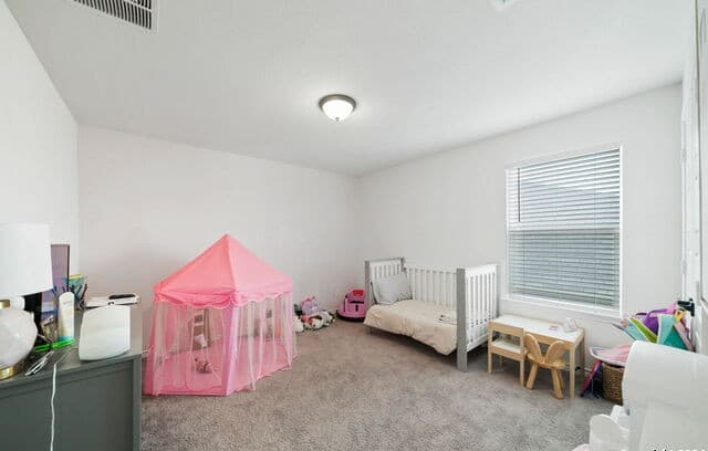11133  Charismatic, San Antonio, TX 78245 — photo 25