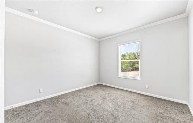 659  Private Road 1508, Bandera, TX 78003 — photo 24