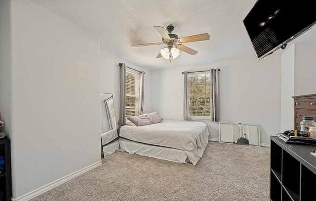 200  Oak Hollow Drive, La Vernia, TX 78121 — photo 24
